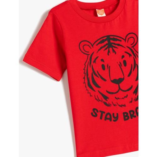 tshirt-ss-351-df.jpg