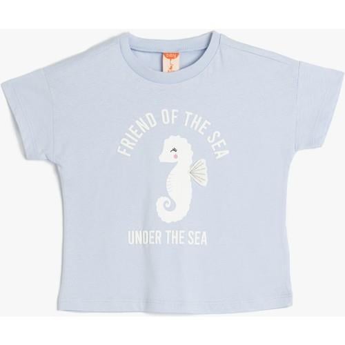 tshirt-ss-62081a.jpg