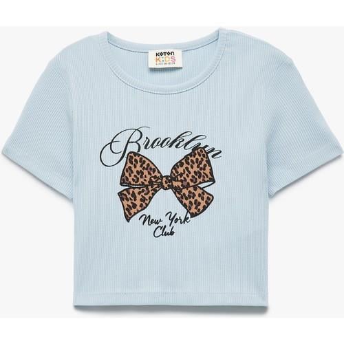 tshirt-ss-677e8c.jpg