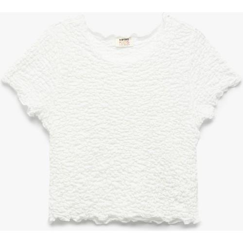 tshirt-ss-686931.jpg