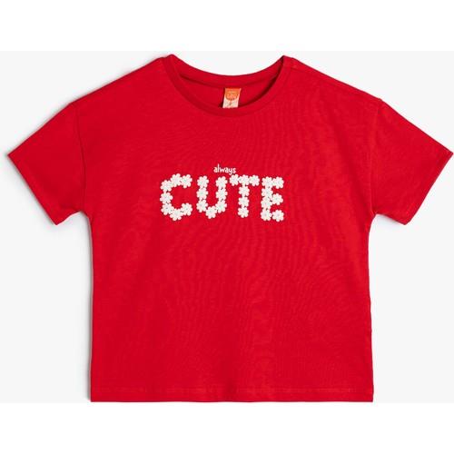 tshirt-ss-7edaf8.jpg