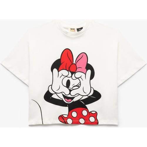 tshirt-ss-870e92.jpg