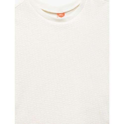 tshirt-ss-9c8155.jpg