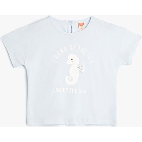 tshirt-ss-a2ac38.jpg