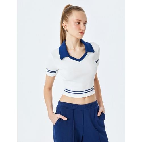 tshirt-ss-b74309.jpg