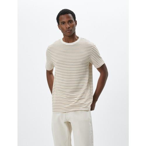 tshirt-ss-bsc--b3d5c.jpg
