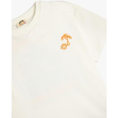 tshirt-ss-eec0d7.jpg