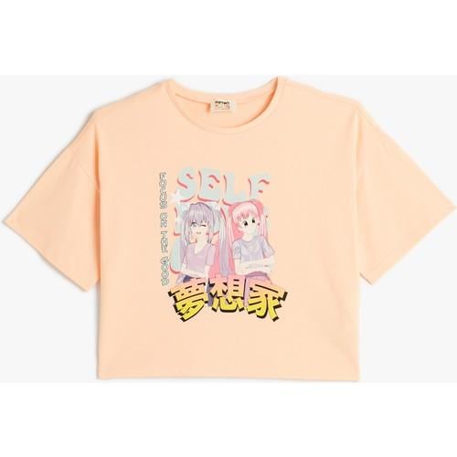 tshirt-ss-fd278d.jpg