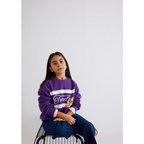 tweety-baskili-sweatshirt--07c22.jpg