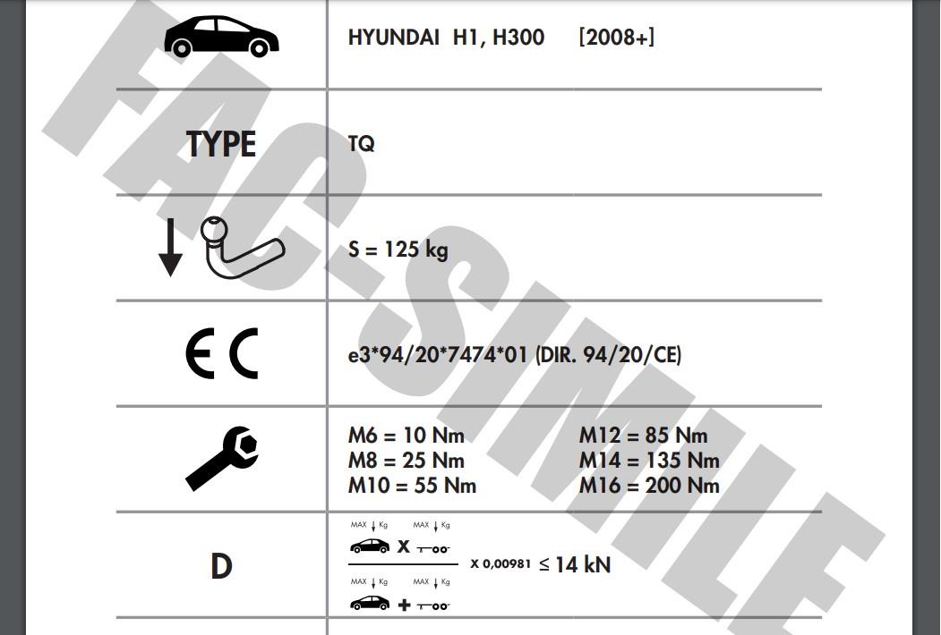 HYUNDAİ  H1 / H300 