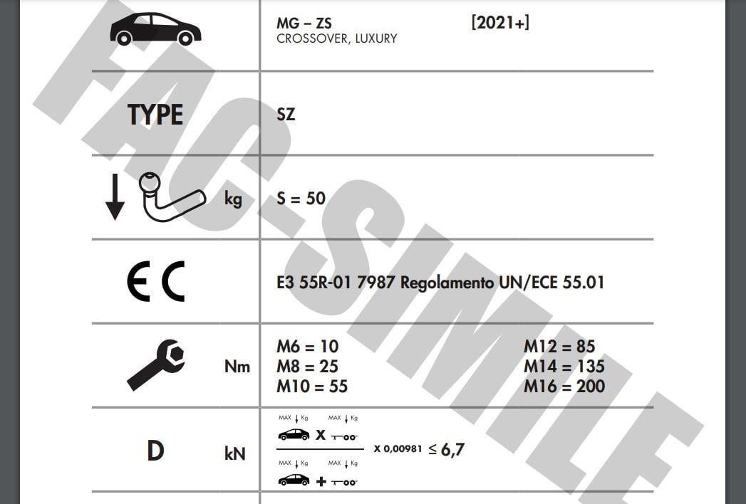 MG ZS
