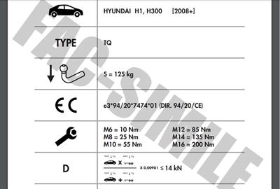HYUNDAİ  H1 / H300 