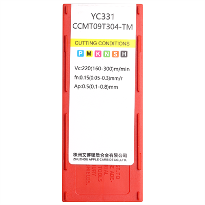 CCMT09T304-TM