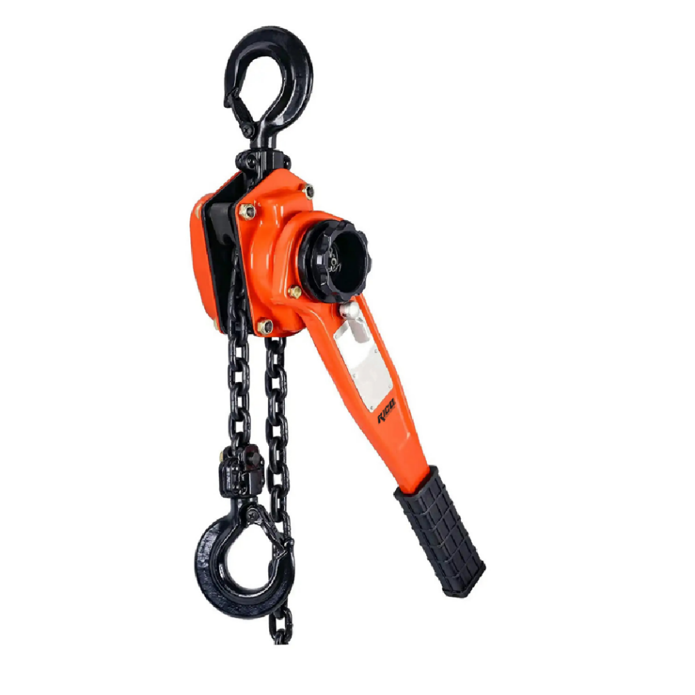 Ri̇co Hubzug 3 Ton X 2 M