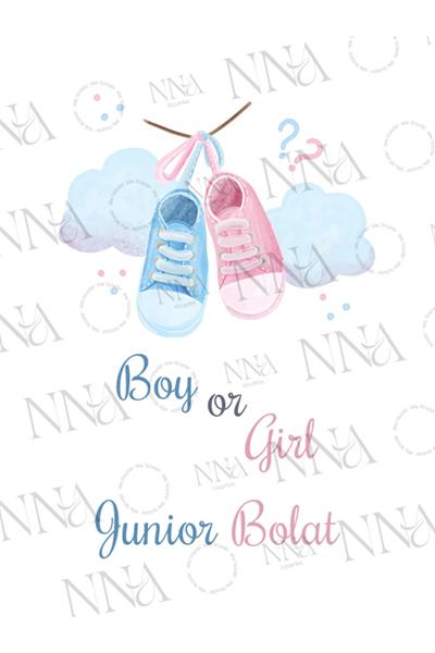 Cinsiyet Partisi Hediyeliği Küçük Boy Kağıt Çanta | PATİK | BKBT87