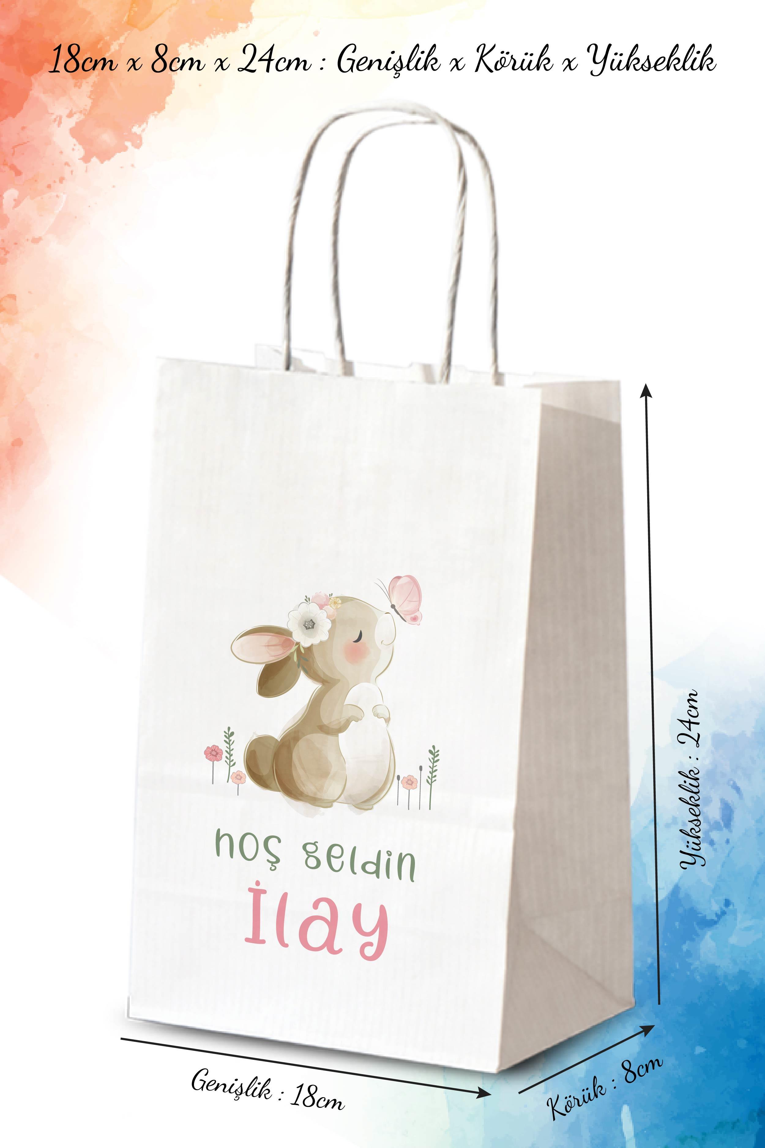 Kız Bebek Mevlid Hediyeliği Küçük Boy Kağıt Çanta | BUNNY | BKBT68