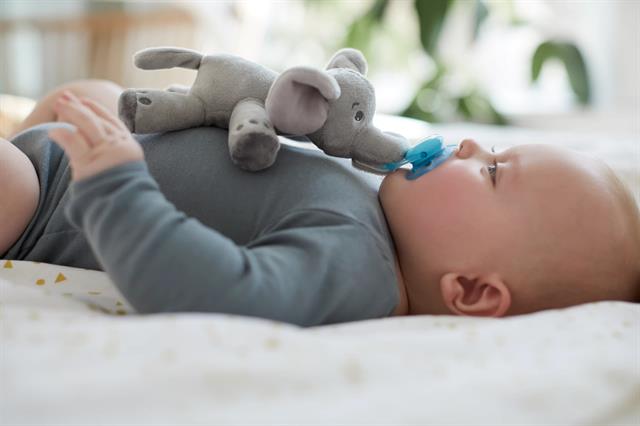 Philips Avent Snuggle Elephant Emzikli Sevimli Oyuncak Fil Ultra Yumuşak