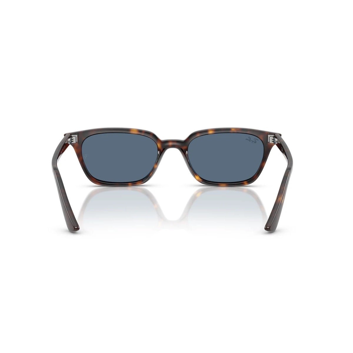 RAY-BAN 4456-53 135980 Güneş Gözlüğü