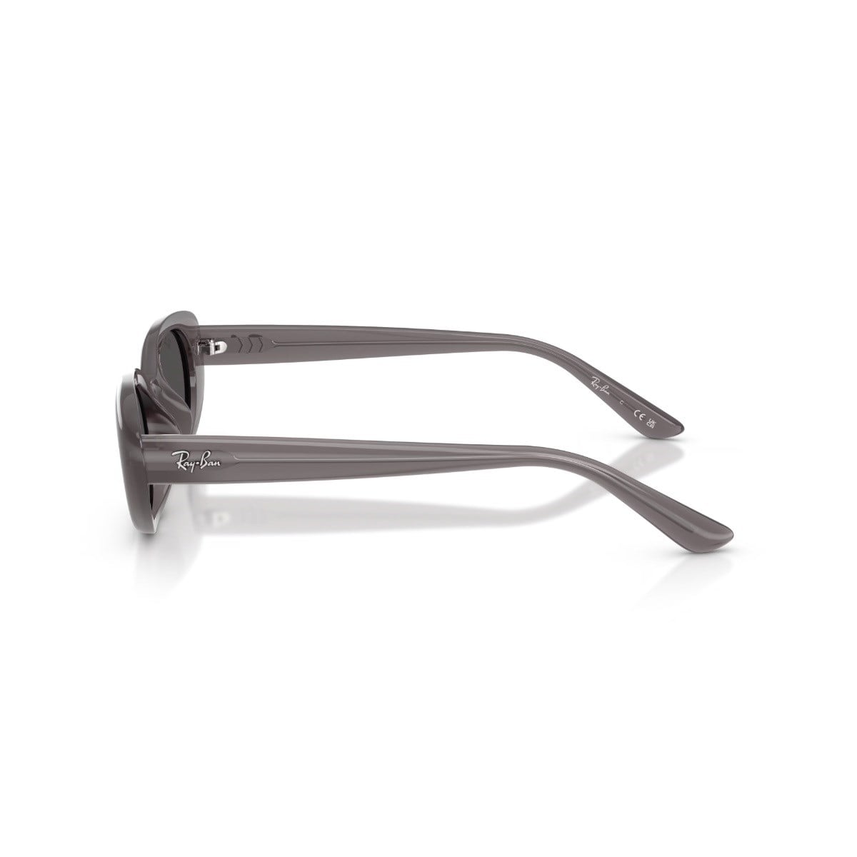 RAY-BAN 4441D-53 677787 Güneş Gözlüğü