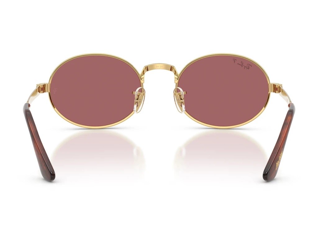 RAY-BAN 3931-54 001/AF Güneş Gözlüğü