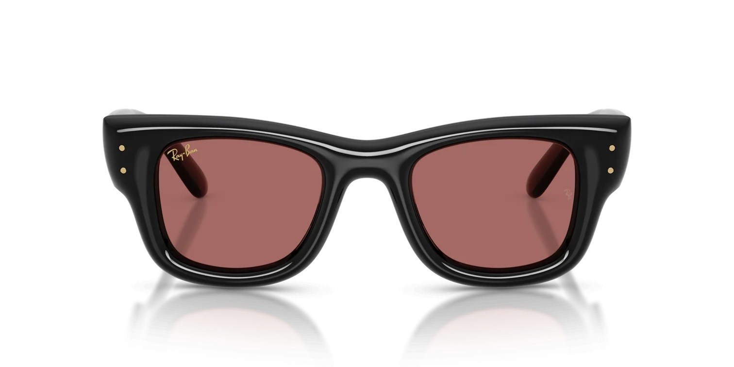 RAY-BAN 4940-47 601/69 Wayfarer Puffer Güneş Gözlüğü