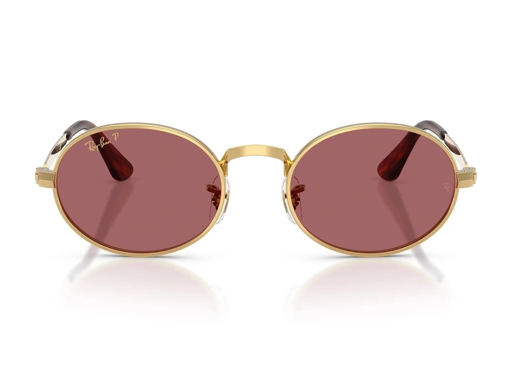 RAY-BAN 3931-54 001/AF Güneş Gözlüğü