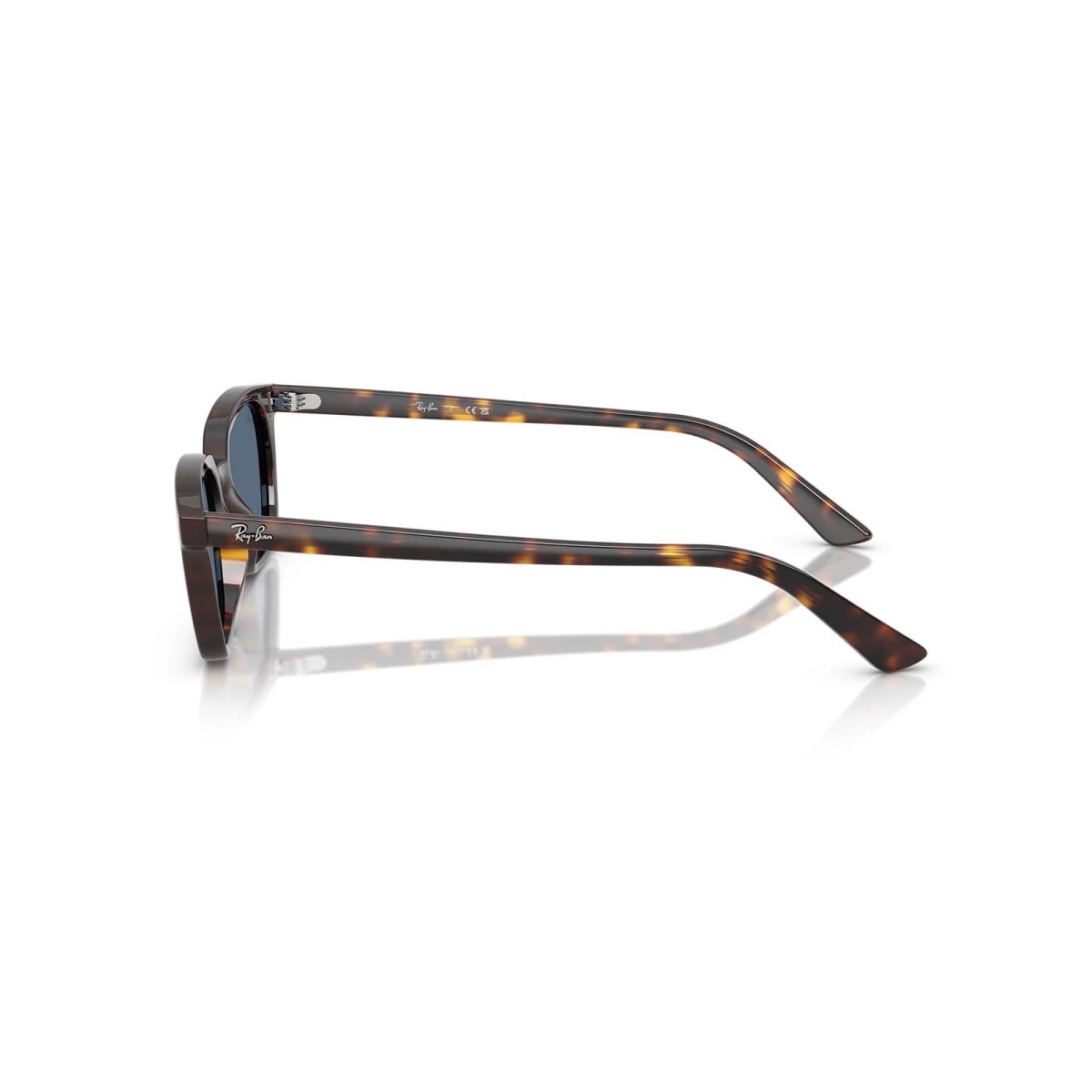 RAY-BAN 4456-53 135980 Güneş Gözlüğü