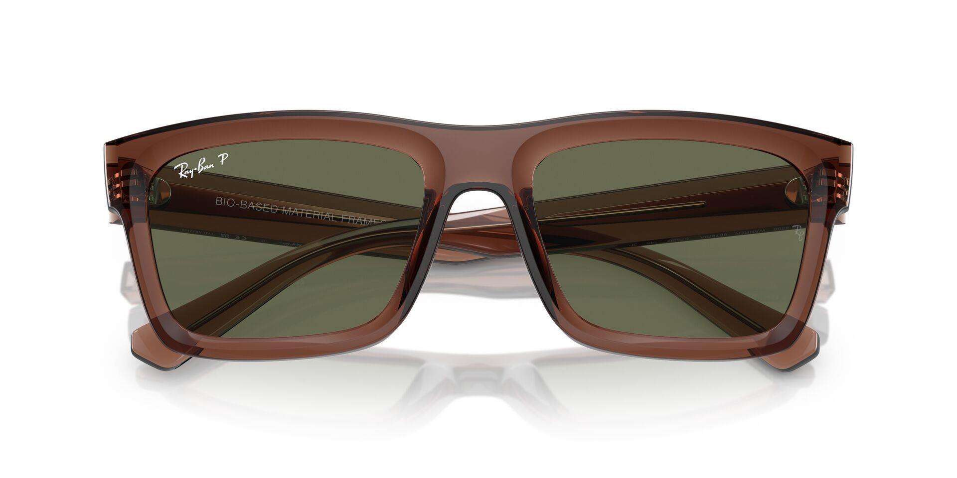 RAY-BAN 4396-54 667/89A Güneş Gözlüğü