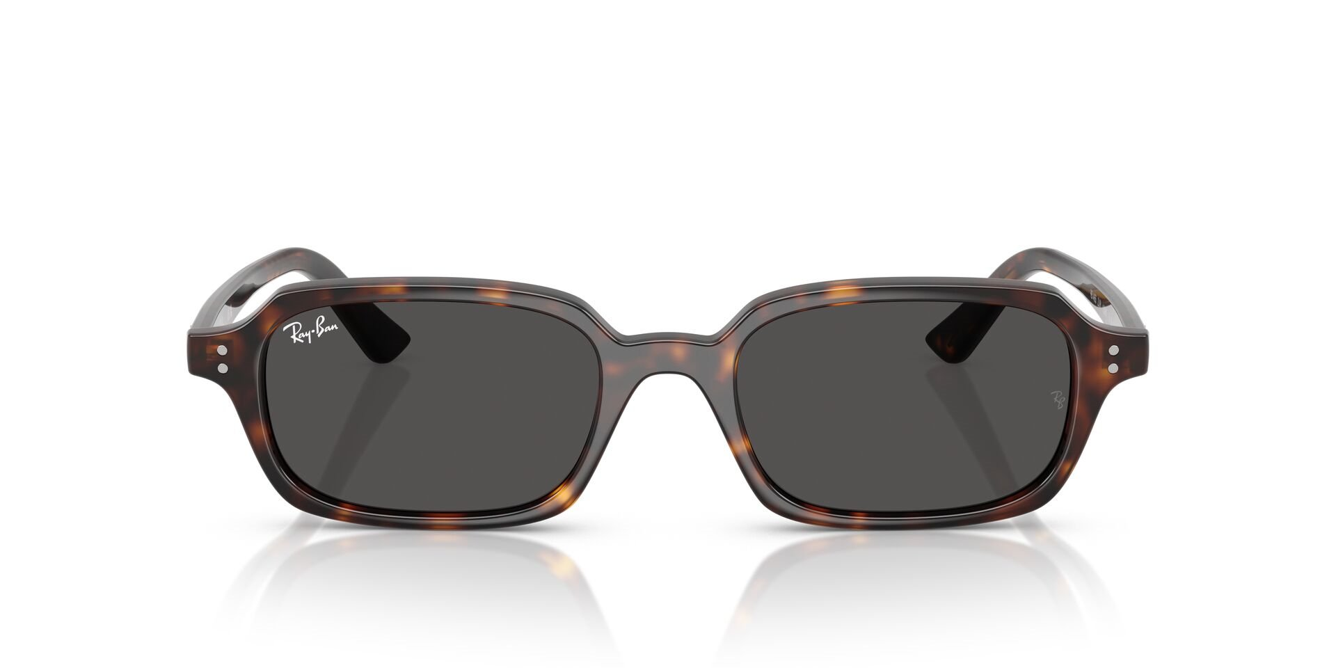 RAY-BAN 4455-49 135987 Güneş Gözlüğü