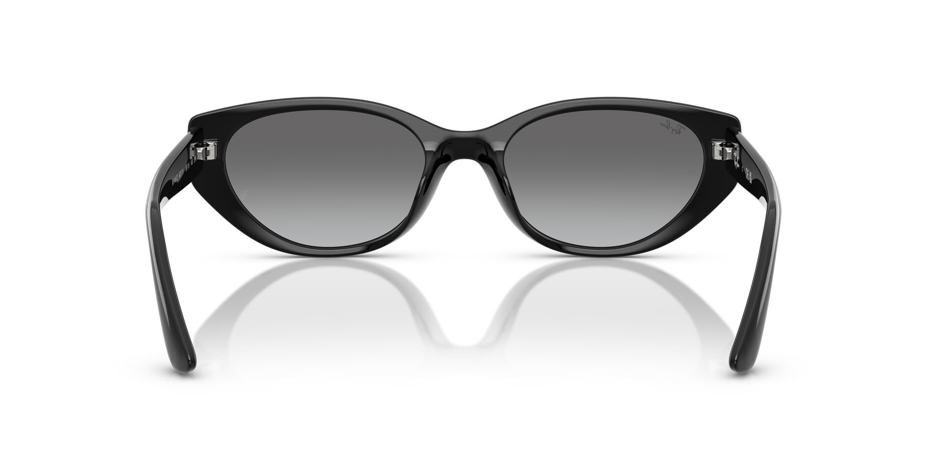 RAY-BAN 4457-55 667711 Güneş Gözlüğü