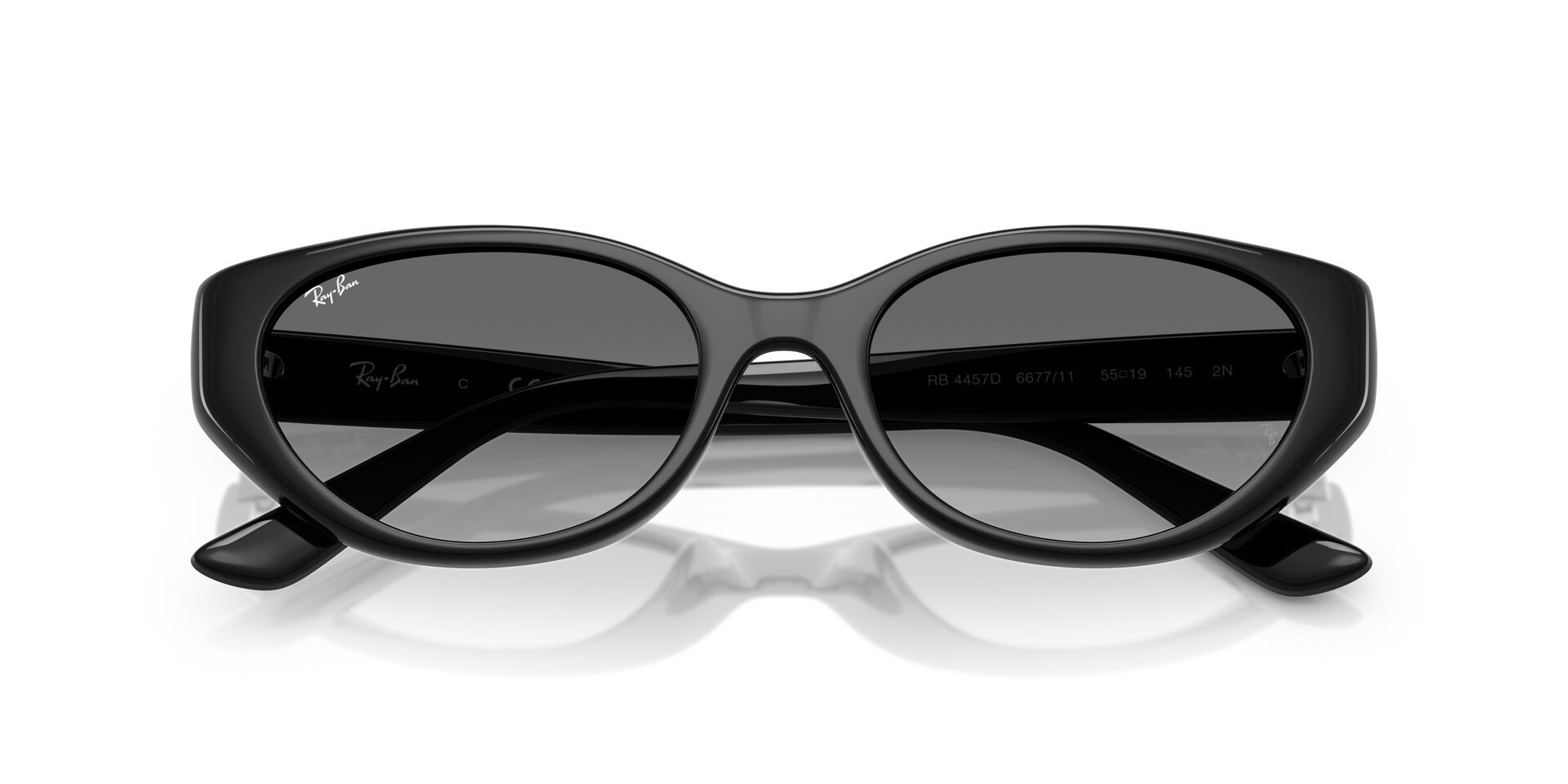 RAY-BAN 4457-55 667711 Güneş Gözlüğü