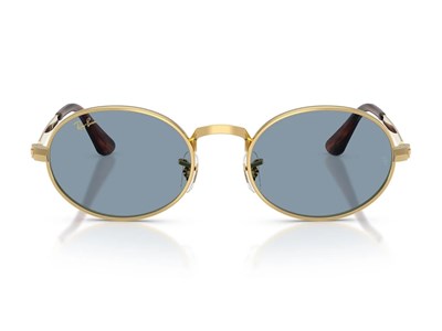 RAY-BAN 3931-54 001/56 Güneş Gözlüğü