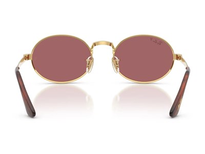 RAY-BAN 3931-54 001/AF Güneş Gözlüğü