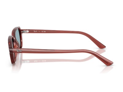 RAY-BAN 4455-49 680980 Güneş Gözlüğü