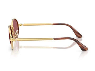 RAY-BAN 3931-54 001/AF Güneş Gözlüğü