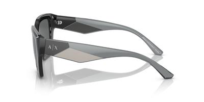 ARMANI EXCHANGE 4125SU-54 815887 Kadın Güneş Gözlüğü