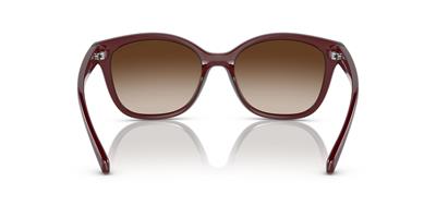 ARMANI EXCHANGE 4127S-54 824113 Kadın Güneş Gözlüğü