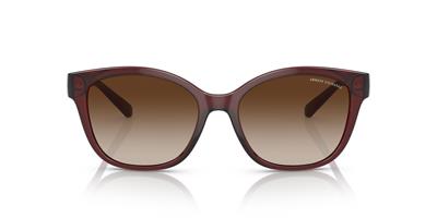 ARMANI EXCHANGE 4127S-54 824113 Kadın Güneş Gözlüğü