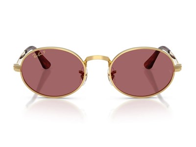 RAY-BAN 3931-54 001/AF Güneş Gözlüğü