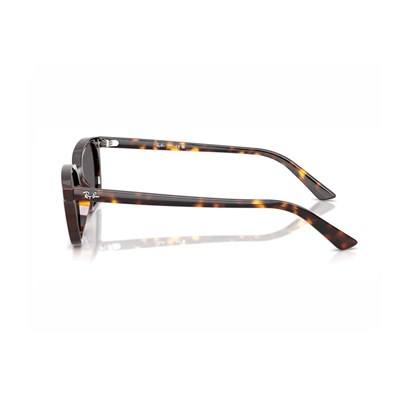 RAY-BAN 4456-53 135987 Güneş Gözlüğü
