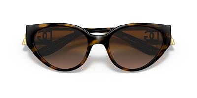 DOLCE&GABBANA 6146-54 502/13 Kadın Güneş Gözlüğü