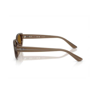 RAY-BAN 4457-55 677983 Güneş Gözlüğü