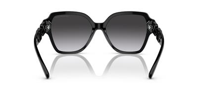 EMPORIO ARMANI 4202-54 5017/8G Kadın Güneş Gözlüğü