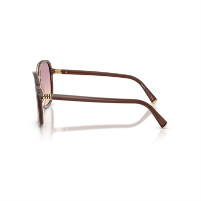 MIU MIU B01S-58 25G40S Kadın Güneş Gözlüğü