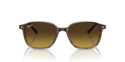 RAY-BAN 2193-53 138085 Güneş Gözlüğü