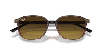 RAY-BAN 2193-53 138085 Güneş Gözlüğü
