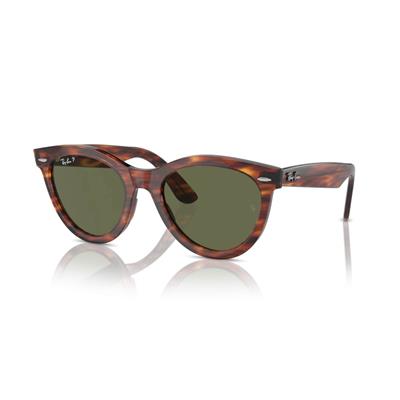 RAY-BAN 2241-51 954/58 Güneş Gözlüğü