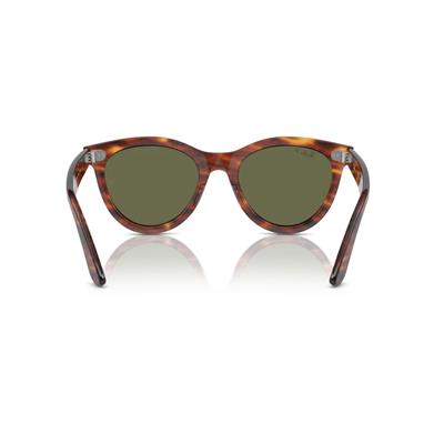 RAY-BAN 2241-51 954/58 Güneş Gözlüğü