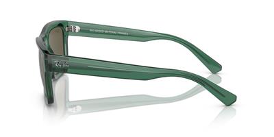 RAY-BAN 4396-54 6681/3 Güneş Gözlüğü