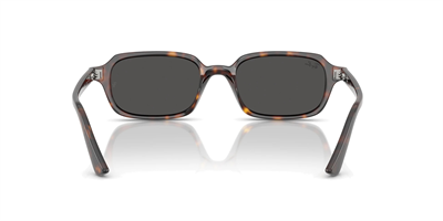 RAY-BAN 4455-49 135987 Güneş Gözlüğü